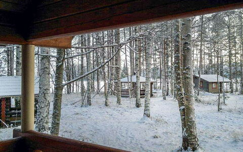Niinimökki: Árbol, Banco, Casa, Cabaña, Lago, Estanque, Bosque, Cuarto De Troncos