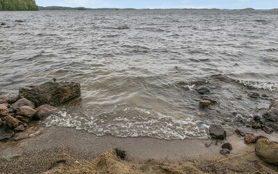 Hirsiniemi