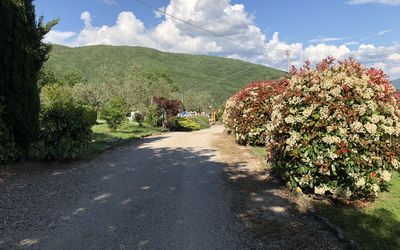Agriturismo Cuiano