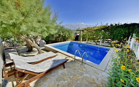 Sofija: Propiedad, Piscina, Bienes Raíces, Patio Interior, Casa, Hierba, Árbol, Edificio, Paisaje, Yarda