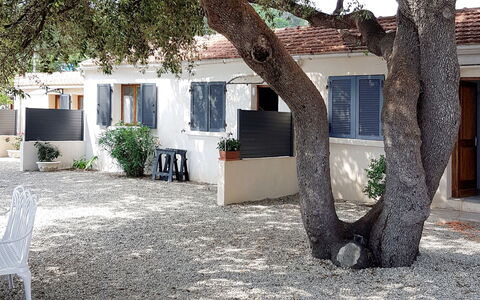 Solenzara 650: Propiedad, Árbol, Casa, Arquitectura, Bienes Raíces, Casa, Plantas Leñosas, Edificio, Planta, Diseño