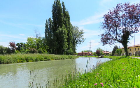 Cà Riviera Bosco Piccolo: Paisaje Natural, Entorno Natural, Árbol, Banco, Vegetación, Río, Camino Acuático, Reserva Natural, Hierba, Canal