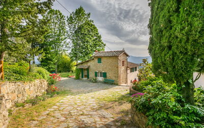 Podere Berrettino