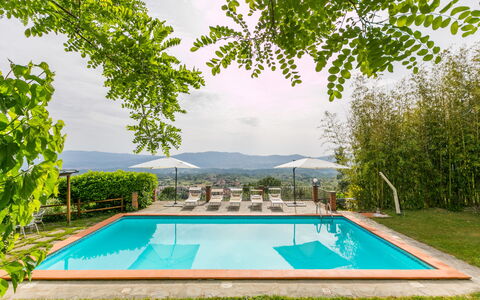 Reggello 867: Agua, Planta, Tiempo De Día, Propiedad, Piscina, Cielo, Verde, Naturaleza, Azur, Sombra