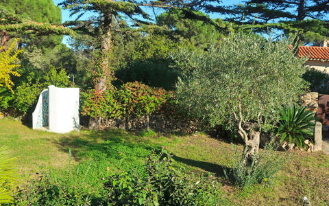 Omer: Árbol, Vegetación, Propiedad, Casa, Botánica, Planta, Hierba, Jardín, Plantas Leñosas, Arbusto