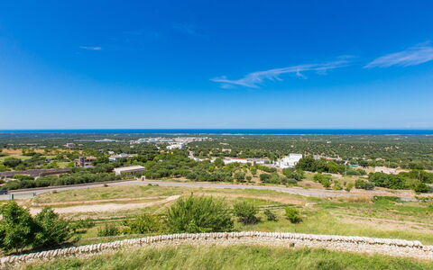 Zia Saby: Cielo, Azul, Tiempo De Día, Llanura, Horizonte, El Terreno Del Lote, Nube, Hierba, Ecorregión, Pradera