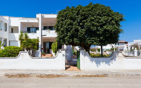 Appartamento Panorama Sul Mare: Barrio Residencial, Árbol, Propiedad, Barrio, Casa, Casa, By, Arquitectura, Bienes Raíces, Pared