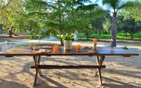 L'alcova: Mueble, Mesa, Mesa De Picnic, Mesa Al Aire Libre, Mesa De Café, Mueble Para Exteriores, Árbol, Hierba, Ocio, Habitación