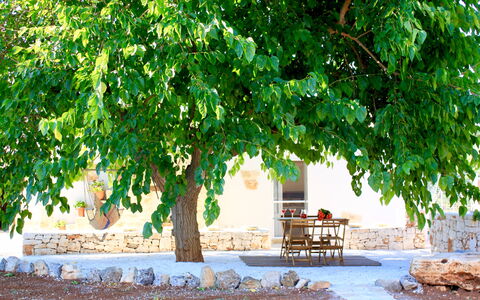 Trullo Con Piscina Per Bambini: Verde, Árbol, Naturaleza, Paisaje Natural, Hoja, Planta, Plantas Leñosas, Rama, Avión, Adaptación