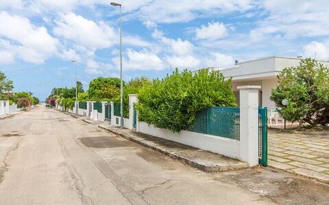 Villa Nettuno: Luz De La Calle, Propiedad, Barrio Residencial, Cielo, La Carretera, Encendiendo, Bienes Raíces, Barrio, Árbol, Pared