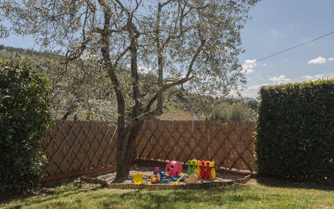 Villa Manuela: Árbol, Hierba, Primavera, Plantas Leñosas, Planta, Casa, Arbusto, Patio Interior, Yarda, El Terreno Del Lote