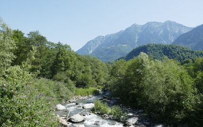 Rustico al Campett