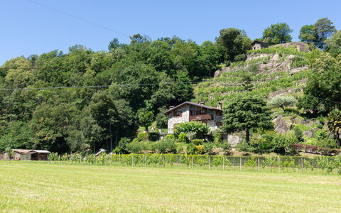 Fuentes: Paisaje Natural, Vegetación, Pradera, Pasto, Propiedad, Hierba, Entorno Natural, El Terreno Del Lote, Granja, Prado