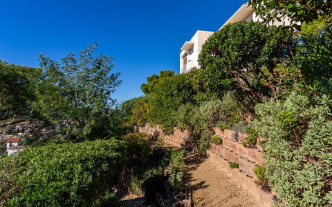 Les Bougainvillées: Cielo, Planta, Paisaje Natural, Hierba, Pendiente, Tintes Y Sombras, Arbusto, Paisaje, Árbol, Colina
