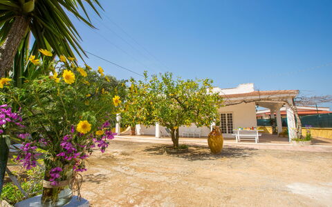 Villa Mediterranea: Propiedad, Flor, Amarillo, Planta, Bienes Raíces, Árbol, Casa, Vacaciones, Edificio, Área Rural