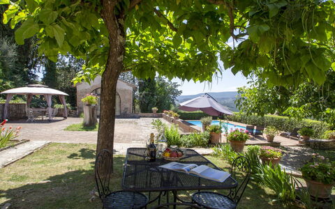 Vedi Torre: Propiedad, Patio Interior, Bienes Raíces, Árbol, Yarda, Patio, Mesa, Jardín, Edificio, Restaurante