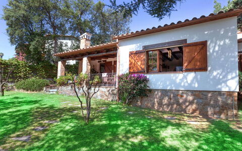 La Plaza: Planta, Cielo, Edificio, Ventana, Naturaleza, Árbol, Casa, Paisaje Natural, El Terreno Del Lote, Vegetación