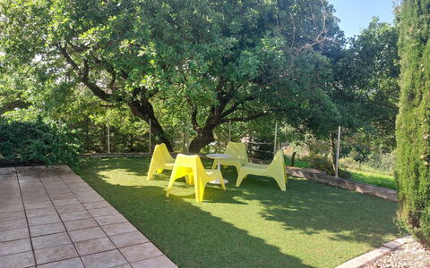 Bois D'Astros: Verde, Hoja, Hierba, Arbusto, Jardín, Césped, Sombra, Cobertura Del Suelo, Primavera, Plantas Leñosas