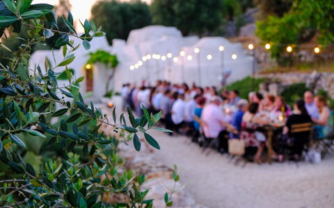 Corte dei Messapi | Sleeps 24: Planta, Hoja, Botánica, Hierba, Ocio, Plantas Leñosas, Árbol, Mañana, Verano, Flor
