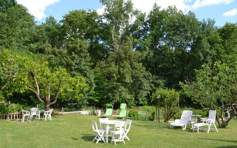 Agriturismo Il Giaggiolo without Pool: Árbol, Jardín, Propiedad, Césped, Patio Interior, Hierba, Yarda, Plantas Leñosas, Planta, Casa