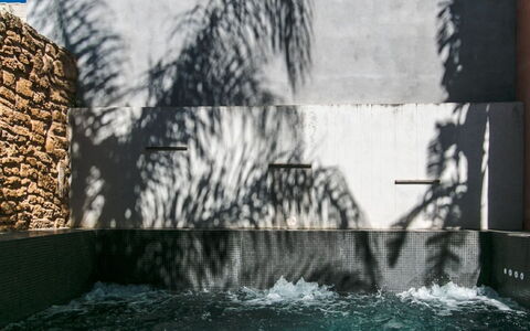 Sa Muralla: Agua, Naturaleza, Edificio, Hierba, Árbol, Rectángulo, Pared, Plantas Leñosas, Adaptación, Arecales