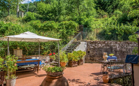 Il Mulinaccio: Propiedad, Árbol, Jardín, Botánica, Patio Interior, Bienes Raíces, Planta, Casa, Paisaje, Yarda