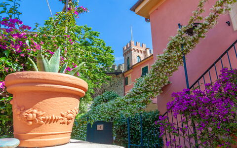Portovecchio Apartments - Levanto: Flor, Verde, Rosado, Primavera, Maceta, Planta De Casa, Balcón, Diseño Floral, Floristas
