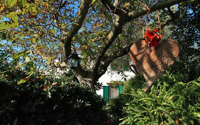 sorrento-hills-comfort-villa-massa-lubrense-villa-external