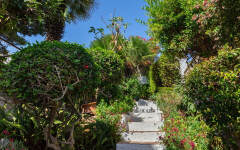 La Dorada: Vegetación, Jardín, Propiedad, Jardín Botánico, Árbol, Botánica, Cielo, Bienes Raíces, Pasarela, Planta