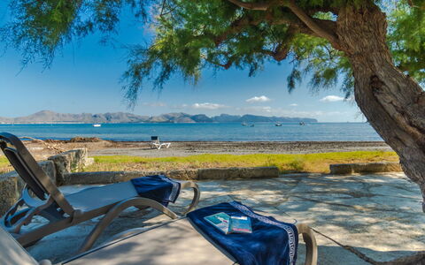 Sa Marina: Árbol, Apuntalar, Cielo, Vacaciones, Playa, Mar, Zona Tropical, Oceano, Costa, Bahía