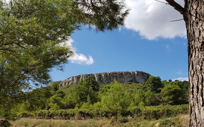 Les Cigalines