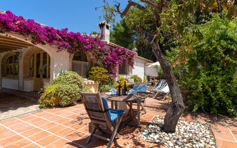 Villa Lander: Propiedad, Bienes Raíces, Casa, Casa, Árbol, Edificio, Patio, Jardín, Yarda, Planta