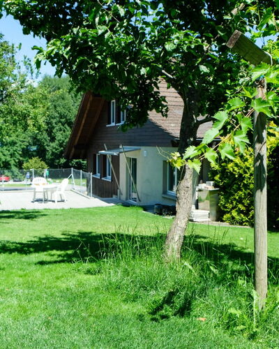 Hauswurz