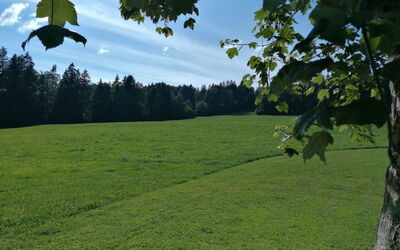 Appartement - les Poingnats