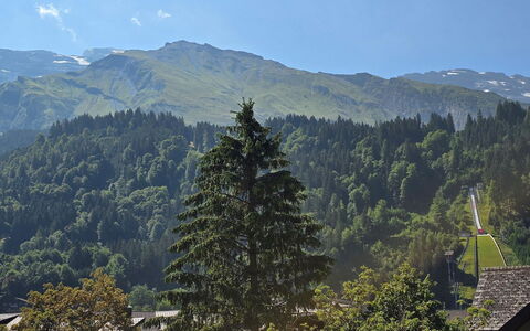 Titliszentrum 2: Montaña, Accidentes Geográficos Montañosas, Árbol, Naturaleza, Hoja, Colina, Vegetación, Cordillera, Bosque, Tierras Altas