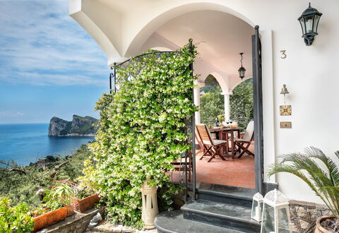 Medusa And The Seahorse Villa: Planta, Edificio, Agua, Propiedad, Mesa, Nube, Maceta, Cielo, Azur, Flor