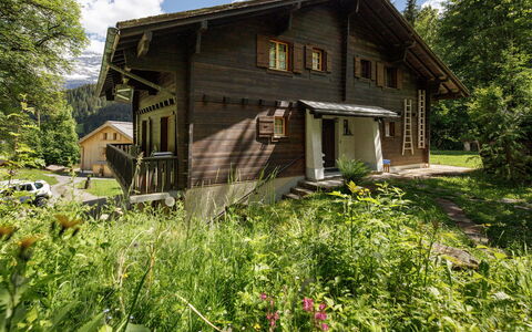 Les Diablerets 600: Edificio, Casa, Madera, Casa, Cabaña, Techo, Área Rural, Vía Muerta, Puerta, Cuarto De Troncos