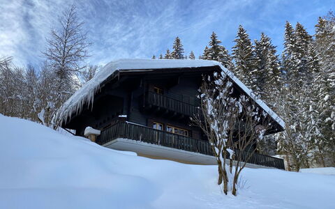 Les Diablerets 600: Cielo, Edificio, Nieve, Nube, Árbol, Planta, Casa, Pendiente, Madera, Cabaña