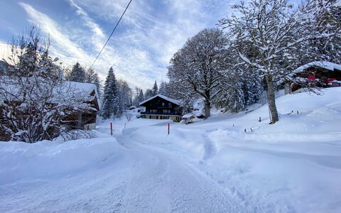 Les Diablerets 600: Nube, Cielo, Nieve, Ventana, Edificio, Pendiente, Planta, Árbol, Terreno, Casa