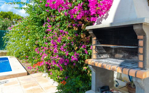 Lilly: Flor, Propiedad, Planta, Casa, Bougainvillea, Casa, Bienes Raíces, Planta Anual, Magenta, Arbusto