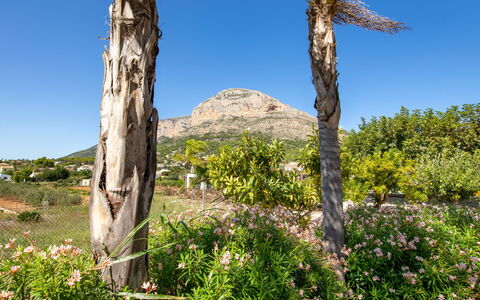 Villa Finca Labranza: Vegetación, Árbol, Desierto, Entorno Natural, Reserva Natural, Planta De La Comunidad, Planta, Biome, Klippe, Botánica