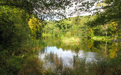 Kralovice
