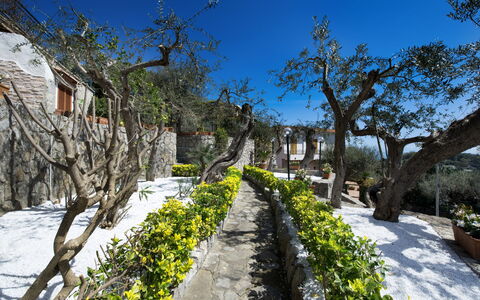 Villa Nerano: Propiedad, Árbol, Bienes Raíces, Botánica, Planta, Primavera, Casa, Turismo, Paisaje, Montaña