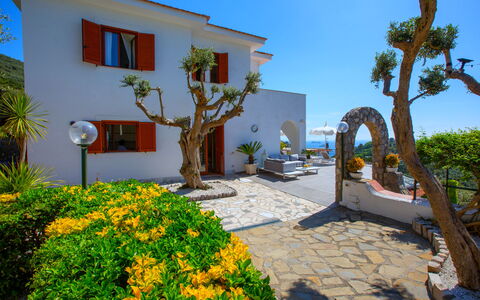 Villa Nerano: Maceta, Hacienda, Paisajismo, Inmuebles, Jardín, Planta De Casa, Villa, Yarda
