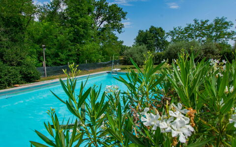Elena: Azul, Arbusto, Jardín, Piscina, Sombra, Paisajismo, Jardín Botánico, Patio Interior, Eco Hotel