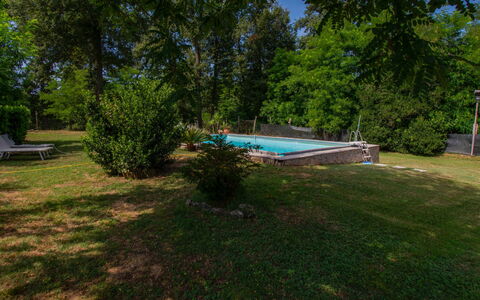 Elena: Árbol, Piscina, Jardín, Sombra, Césped, Ocio, Patio Interior, Paisajismo, Yarda, Parque