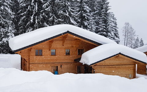 Dörfli: Nieve, Edificio, Ventana, Árbol, Casa, Rama, Madera, Pendiente, Puerta, Alerce