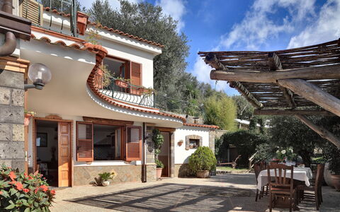 La Villa Dell'olio: Planta, Nube, Propiedad, Cielo, Ventana, Edificio, Maceta, Madera, Puerta