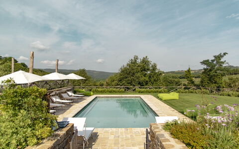 Villa Pianvecchio: Planta, Piscina, Jardín, Material Compuesto, Arbusto, Recurso, Paisajismo, Yarda, Loseta
