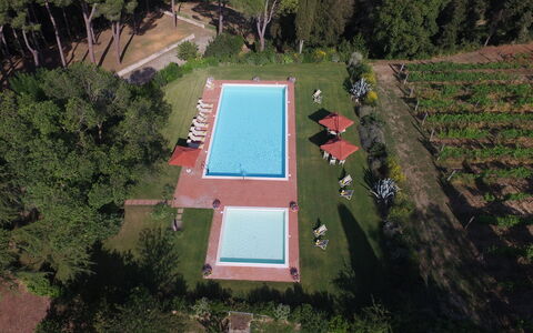 Villa Asciolo: Piscina, Jardín, Material Compuesto, Sombra, Césped, Yarda, Plantación, Patio Interior, Paisajismo